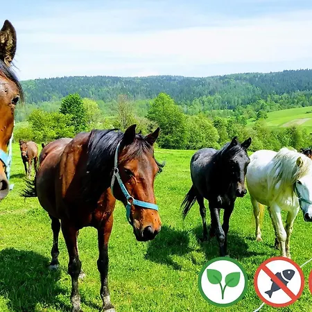 منزل للإقامة Osada Kabardia Nowica