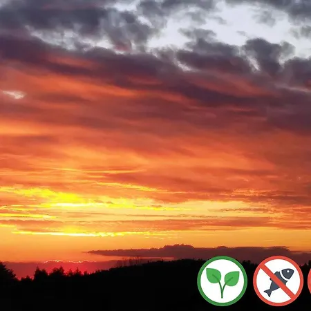 منزل للإقامة Osada Kabardia Nowica