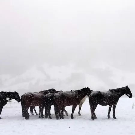 Osada Kabardia Ubytování v soukromí Nowica