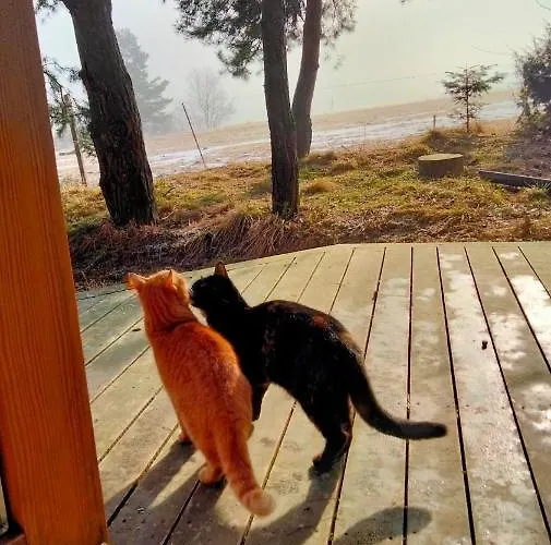 Kwatera prywatna Osada Kabardia Nowica